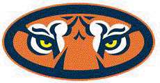 Tiger Eyes